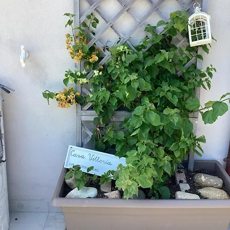 Appartement Casa Vittoria Procchio (Isola d'Elba)